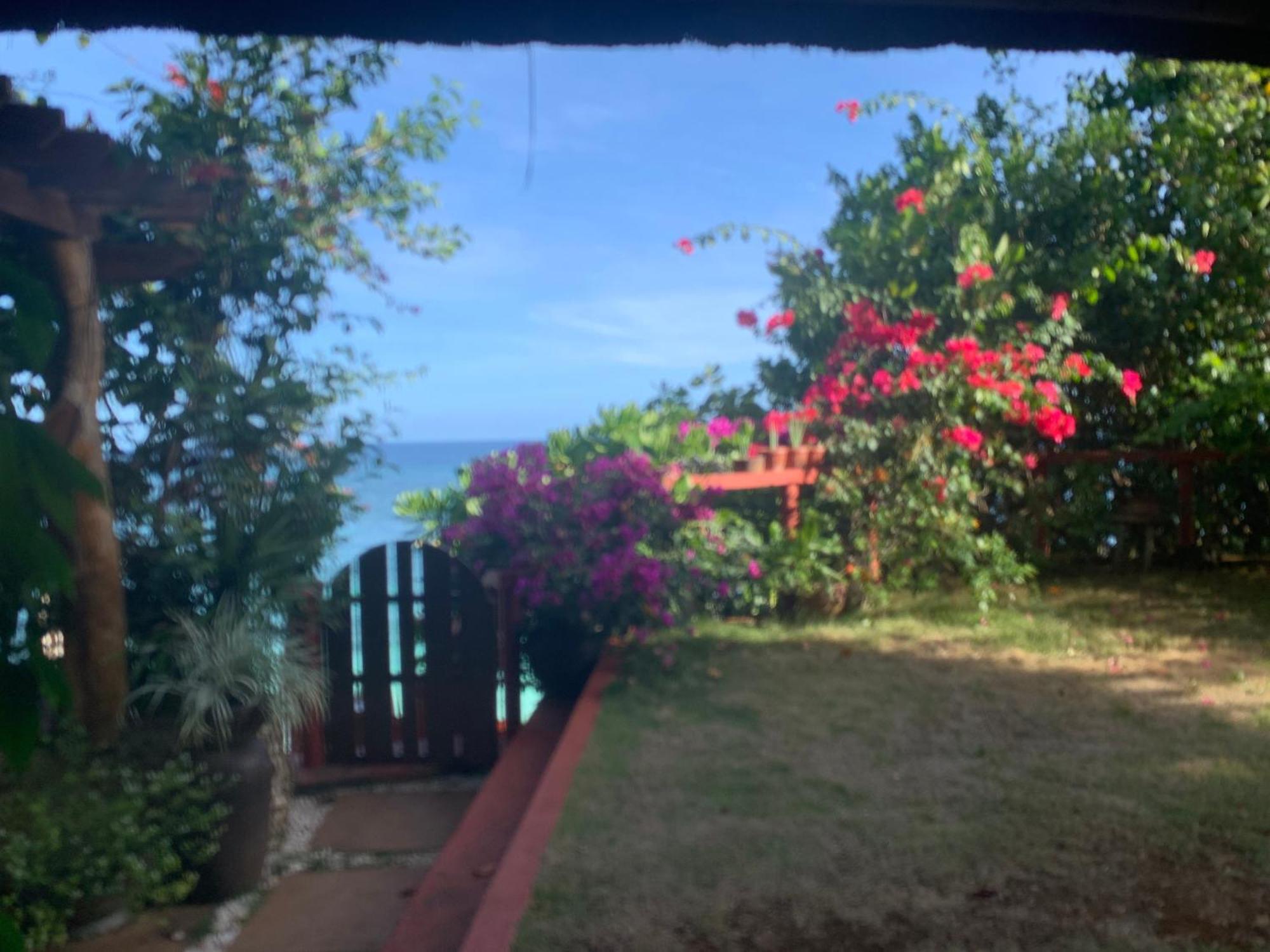 Blue Raven Resort Anda  Extérieur photo