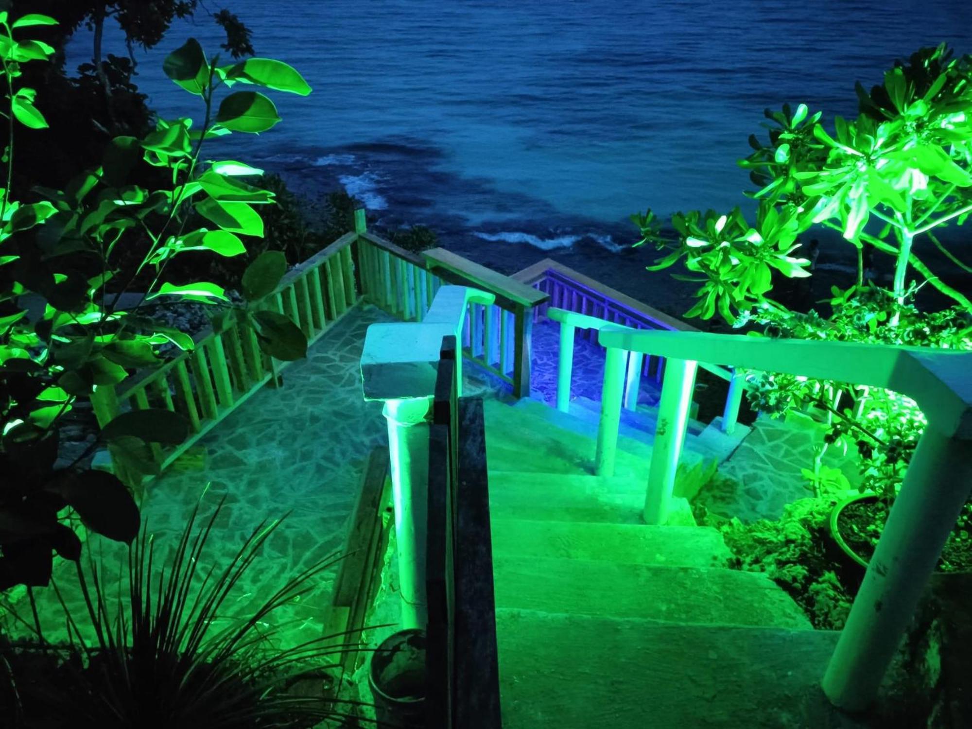 Blue Raven Resort Anda  Extérieur photo